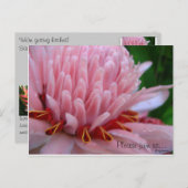 Pink Torch Ginger Wedding Save the Date Kaarten (Voorkant / Achterkant)