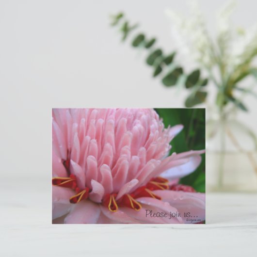 Pink Torch Ginger Wedding Save the Date Kaarten (Staand voorkant)