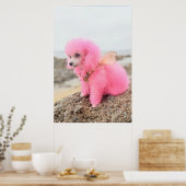 PINK TOY POODLE AT THE BEACH POSTER (Keuken)