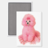 pink toy poodle magnet, pink poodle, refrigerator magneet (Voorkant / Achterkant)