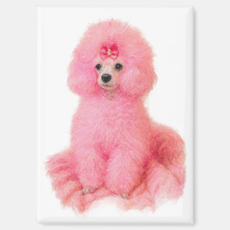 pink toy poodle magnet, pink poodle, refrigerator magneet