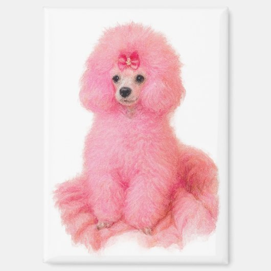 pink toy poodle magnet, pink poodle, refrigerator magneet (Voorkant)