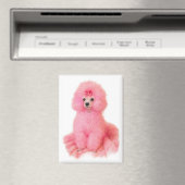 pink toy poodle magnet, pink poodle, refrigerator magneet (Insitu (Vaatwasser))