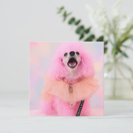 Pink Toy Poodle, Mozzarella The Poodle, card Feestdagenkaart (Staand voorkant)