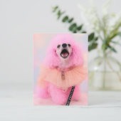 Pink Toy Poodle, Mozzarella The Poodle, Postcard Briefkaart (Staand voorkant)