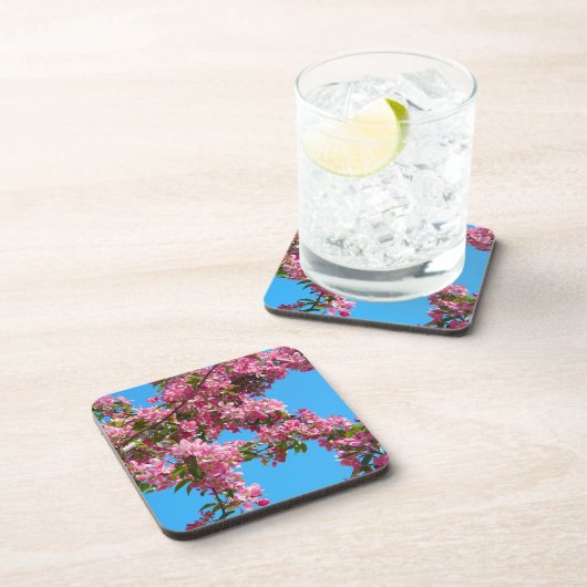 Pink Tree Blossom and Blue Sky Photo Bier Onderzetter (Rechterzijde)