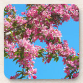 Pink Tree Blossom and Blue Sky Photo Bier Onderzetter (Voorkant)