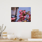 Pink Tree Blossoms Photo Value Poster Papier (Keuken)