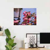 Pink Tree Blossoms Photo Value Poster Papier (Thuiskantoor)