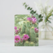 Pink Trill Bloom Cactus Arizona Foto Briefkaart (Staand voorkant)