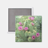 Pink Trill Desert Cactus koelkast Magnet (Voorkant / Achterkant)