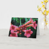 Pink Trumpet Honeysuckle Botanische Kunst Kaart (Gele Bloem)
