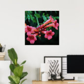 Pink Trumpet Honeysuckle Botanische Kunst Poster (Thuiskantoor)