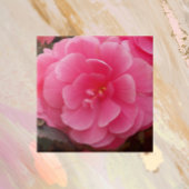 Pink Tuberous Begonia Floral Tegeltje