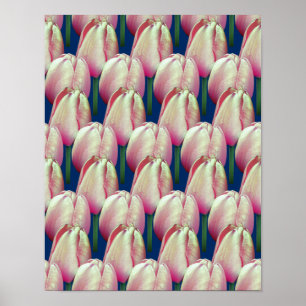 Pink Tulip Flowers Patroon Poster