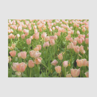Pink Tulips in Spring Tissue Paper Tissuepapier
