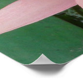 Pink Water Lilies Splendor Poster (Hoek)