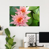 Pink Water Lilies Splendor Poster (Thuiskantoor)