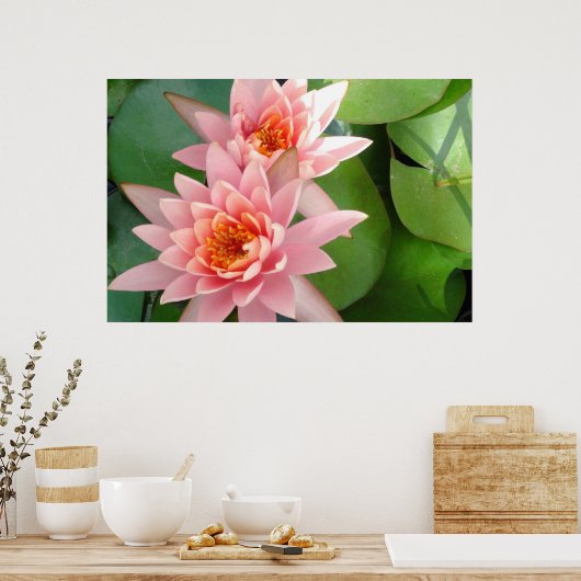 Pink Water Lilies Splendor Poster (Keuken)