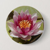 Pink Water Lily Close-up foto Ronde Button 7,6 Cm (Voorkant)