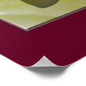 Pink Water Lily Flower Close-up foto Custom Poster (Hoek)