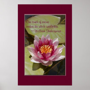 Pink Water Lily Flower Close-up foto Custom Poster