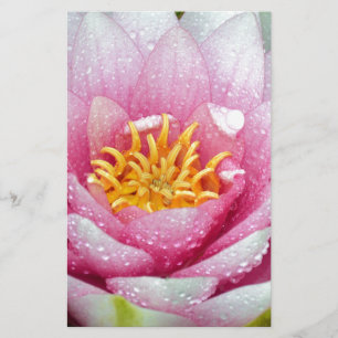 PInk-waterliebloem Briefpapier