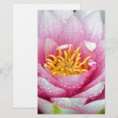 PInk-waterliebloem Briefpapier (Voorkant / Achterkant)