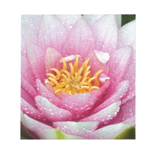 PInk-waterliebloem Notitieblok (Voorkant)