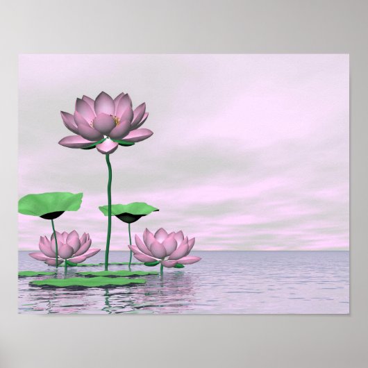 Pink waterlilies and lotus flowers poster (Voorkant)
