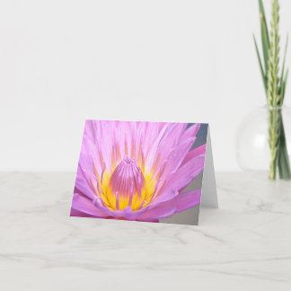 Pink Waterlily Notecard Kaart