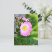 Pink Wild Tea Roos Blossom Briefkaart (Staand voorkant)