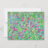 Pink Wildflower Salvia Flower Art Note Card Set Notitiekaartje (Voorkant)