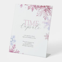 Pink Winter Wonderland Time Capsule Sign Reclamebord Met Voetstuk