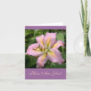 "PINK&YELLOW DAY LILY/HOE GAAT HET?" KAART