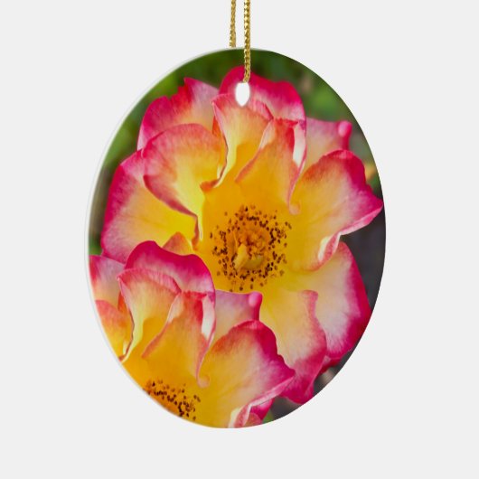 Pink Yellow Rose Keramisch Ornament (Rechts)