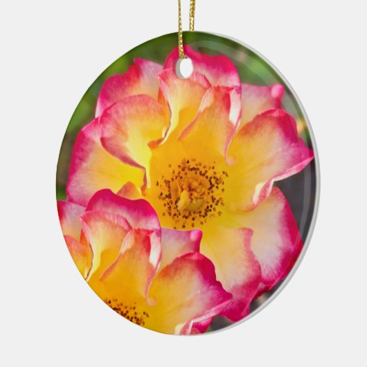 Pink Yellow Rose Keramisch Ornament (Links)