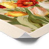 Pink, Yellow, White & Red Tulips Poster (Hoek)