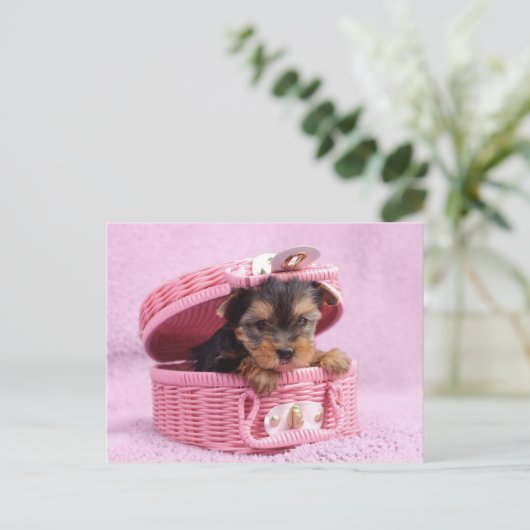 Pink Yorkie Briefkaart (Staand voorkant)