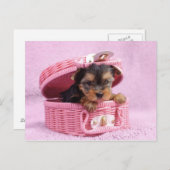 Pink Yorkie Briefkaart (Voorkant / Achterkant)
