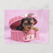 Pink Yorkie Briefkaart (Voorkant)