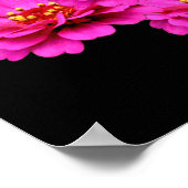 Pink Zinnia Flower Bouquet Poster (Hoek)