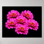 Pink Zinnia Flower Bouquet Poster (Voorkant)