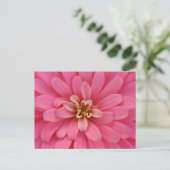 Pink Zinnia Flower Postcard Briefkaart (Staand voorkant)