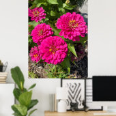 Pink Zinnia Flower Poster (Thuiskantoor)
