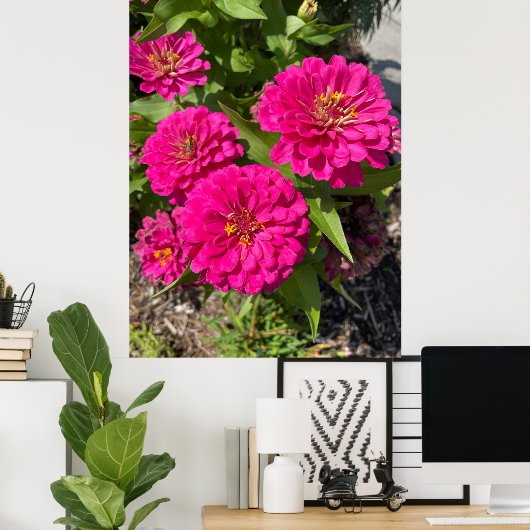 Pink Zinnia Flower Poster (Thuiskantoor)