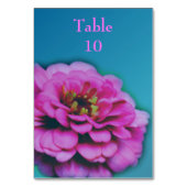Pink Zinnia Flower Wedding  Kaart (Achterkant)