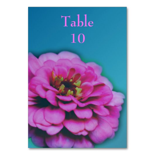 Pink Zinnia Flower Wedding  Kaart (Voorkant)