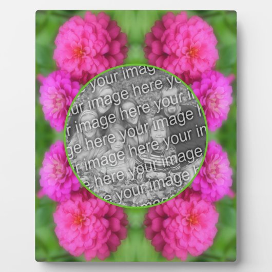 Pink Zinnia Flowers Creëer Uw Eigen Foto Fotoplaat (Voorkant)