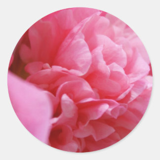 Pinkalicious-Stickers Ronde Sticker